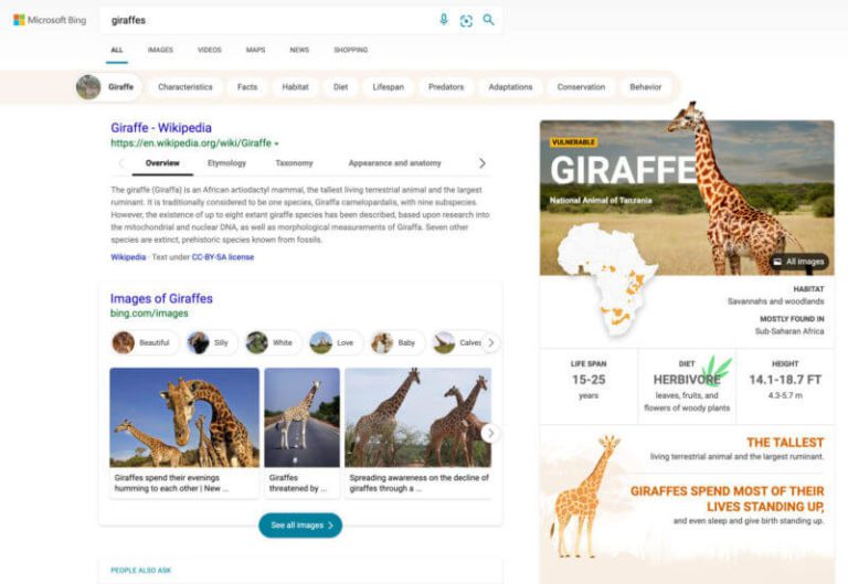 bing search infographic panels 800x551 2
