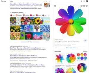 google image preview overlay web search 1659956141 730x600 1